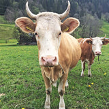 Original Simmentaler 200g